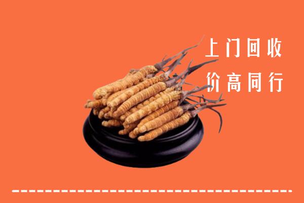 三门峡卢氏县回收冬虫夏草