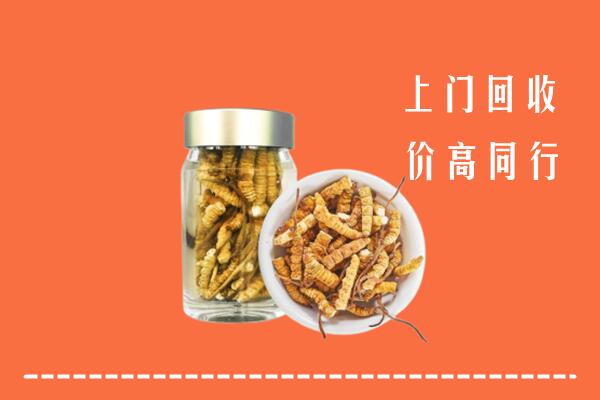 三门峡卢氏县回收冬虫夏草