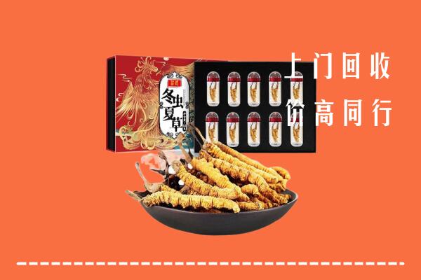 三门峡卢氏县回收虫草